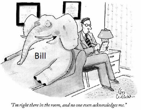 Elephant-in-the-Room
